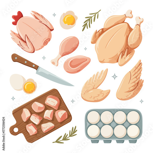 Raw chicken pieces whole birds and eggs on white background chicken parts chicken breast