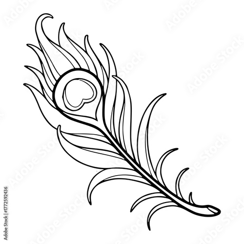 outline drawing of stylized peafowl plumage