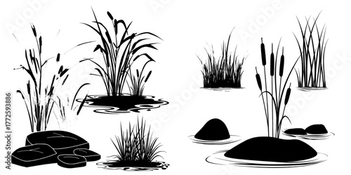 Modern illustration of a forest swamp, marsh, or pond, highlighting wetland grass, moss stone, and green water plant leaves, all isolated on a white background with a lawn and tall rush on a landmass