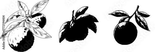 A vibrant red contemporary symbol of a newly picked Lychee, complete with green leaves, set against a white backdrop