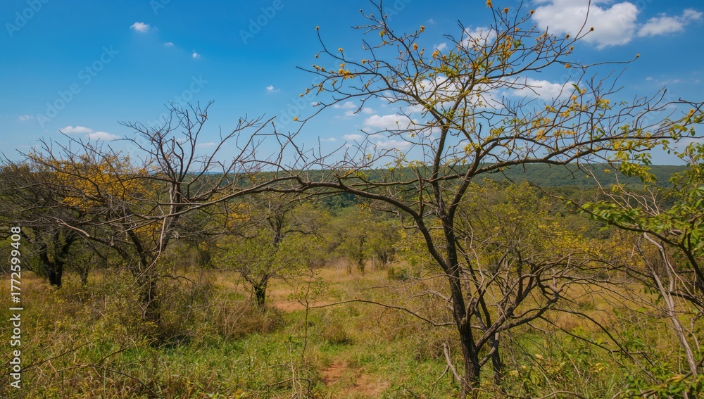 Fototapeta premium Verdant wilderness with trees and grass under a clear sky in summer