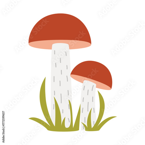 Forest mushrooms on white background. Pair of edible mushrooms in grass clip art illustration. Ripe boletus, vector graphics
