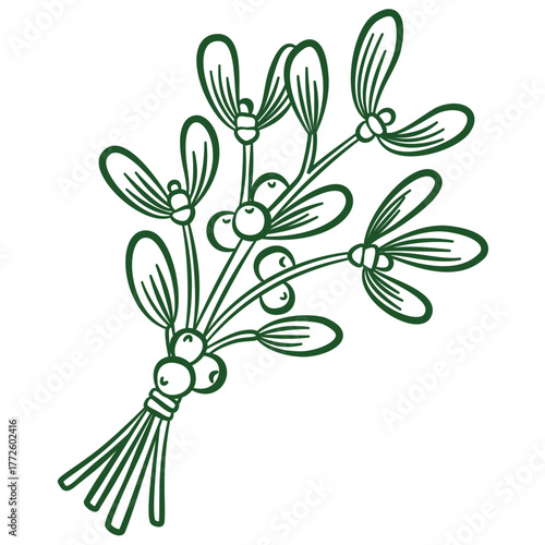 Green Christmas mistletoe bouquet hand drawn illustration, cute christmas decoration, whimsical vector Christmas illustration