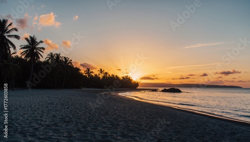 Fototapeta Naklejka Na Ścianę i Meble -  Sandy beach with palm trees, ideal for vacation planning, seasonal relaxation
