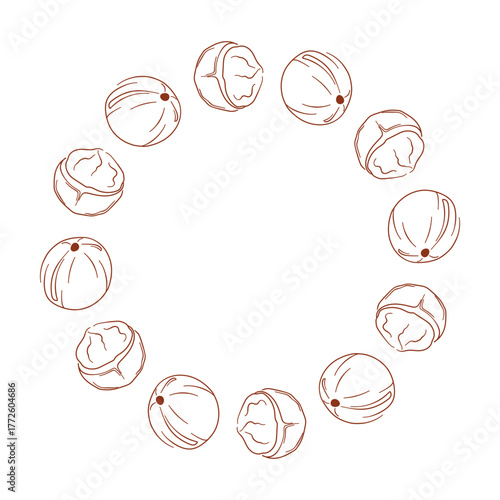 Circular wreath with macadamia and kernel on a white background in line art style.