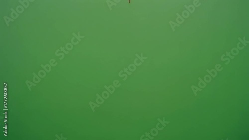 A large passenger airplane flies overhead against a green screen for chroma key compositing.