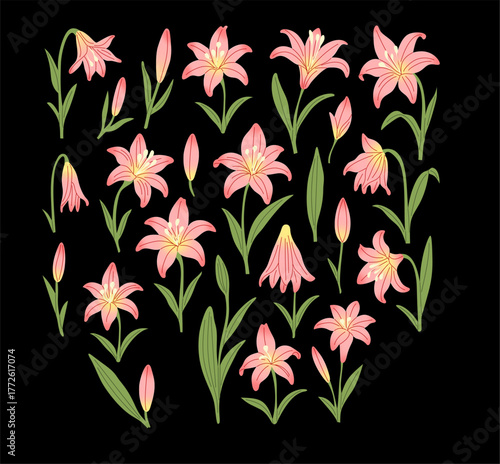 Elegant Pink Lily Floral Elements Set