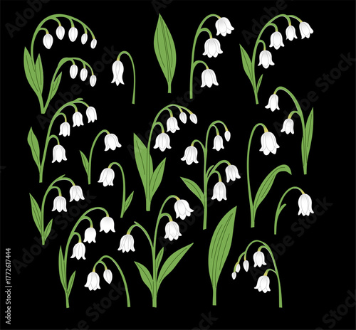 Delicate Lily of the Valley Botanical Elements Collection
