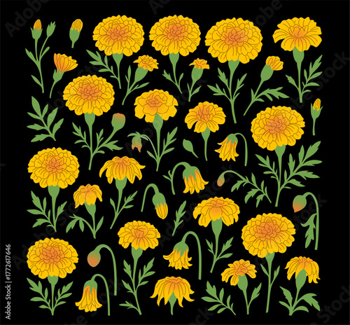Vibrant Marigold Flower and Leaf Botanical Elements Collection