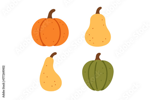 Colorful pumpkins and gourds for fall harvest and Thanksgiving decoration