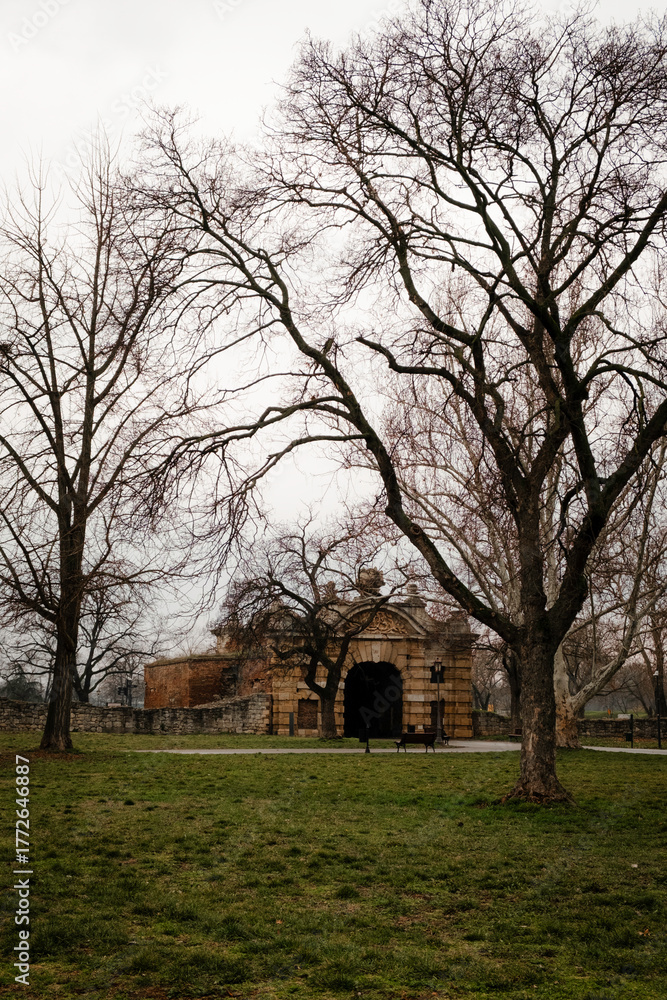 Naklejka premium Historic stone gate surrounded by tall bare trees in a park on a cloudy winter day