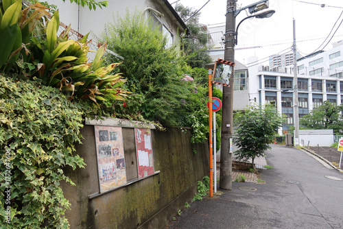 Tokyo, Japan – June 23, 2024: A residential street during hydrangea season, a no parking sign, a convex traffic mirror, and typical Japanese houses. Narrow street scene in a Japanese neighborhood.