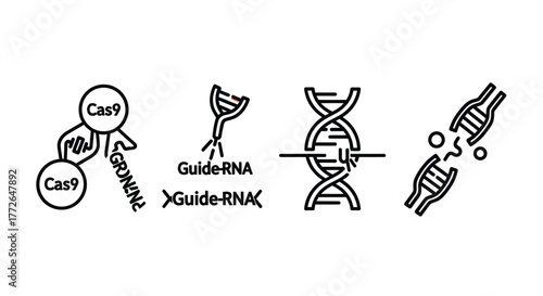 Crispr gene editing technology dna double helix molecule scientific research icons vector