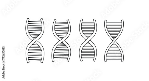 Four hand drawn dna double helix structures representing genetics life science research vector