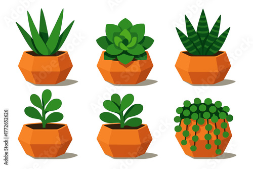 Various green succulent houseplants in bright orange polygonal pots isolated on white