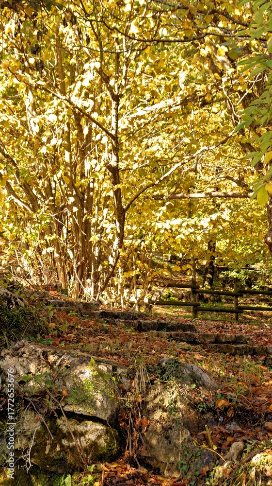 Fototapeta premium Parco La Sponga