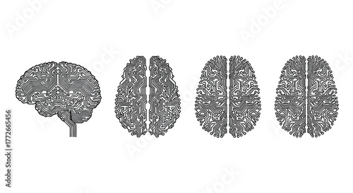 Diverse human brain anatomy views showcasing complex neural networks and cognitive functionality detailed views vector