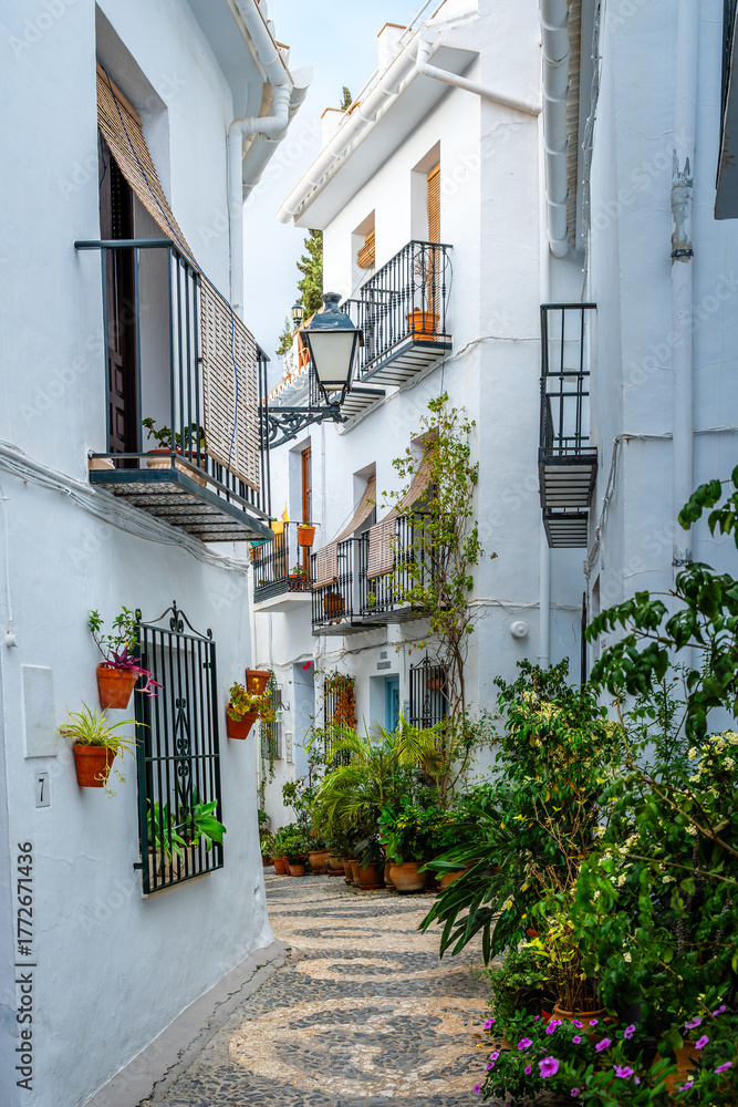 Fototapeta premium Frigiliana Street View