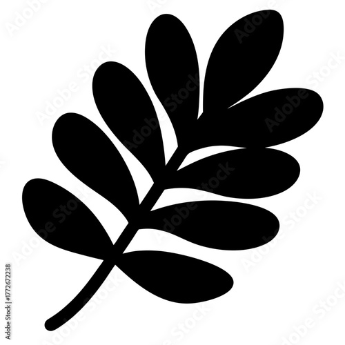 Minimalist illustration of a stylized black branch with plump oval leaves