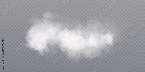 A realistic white smoke effect with soft transparency and smooth dispersion on a transparent background. Ideal for atmospheric compositions, weather designs, and steam-based image elements.