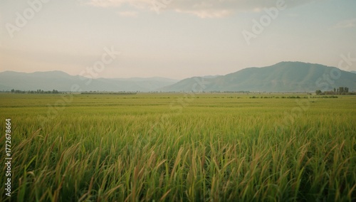 Serene open landscape with mountains and greenery, perfect for unwinding