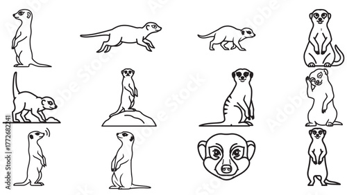 A collection of black line art illustrations of Meerkats in various poses and actions.