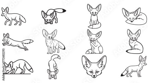 A collection of twelve Fennec Fox line art illustrations in various poses, isolated on a white background.