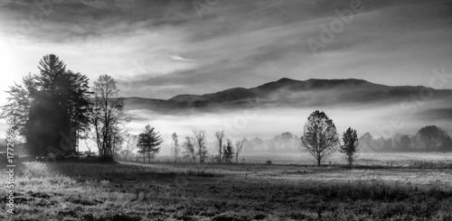 foggy morning in the mountains