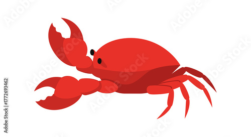 Illustration of a red crab with claws vector art for seafood lovers and marine life enthusiasts design 100