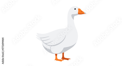 Illustration of a white goose standing tall with orange beak and feet vector graphic design asset image