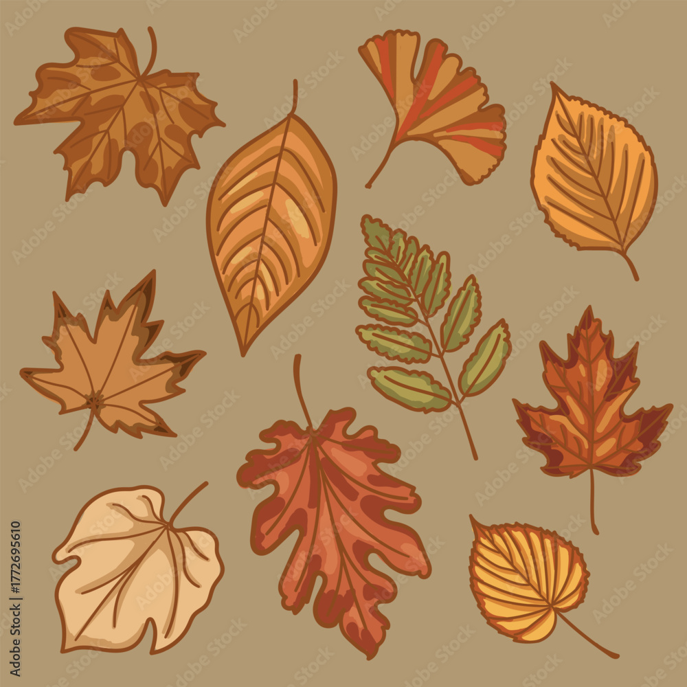 Obraz premium Cozy Fall Leaf Illustration Collection