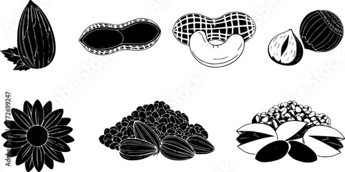 Cartoon nuts. Almond, peanut, cashew, hazelnut nuts, sunflower seed and pistachio, nut food isolated vector illustration icons set. Nuts heaps in shell on white. Organic healthy products for snack[