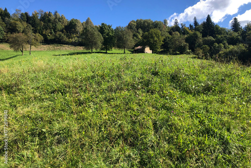 Old Isolated Stone Mountain House in Brembana Valley, Italian Alps, During a Sunny Summer Day. Beautiful View. Dossena Mountain Village, Bergamo Province, Italy