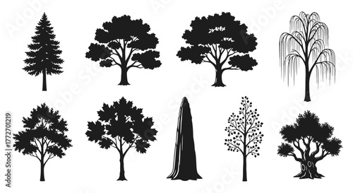 Tree Silhouettes Collection – Diverse Botanical Shapes for Design and Education
