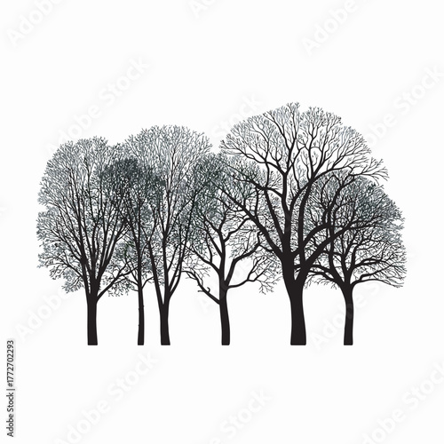 lonely winter tree silhouette on white background