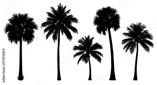Silhouetted palm trees stand tall, creating a tropical scene against a bright sky, evoking a sense.