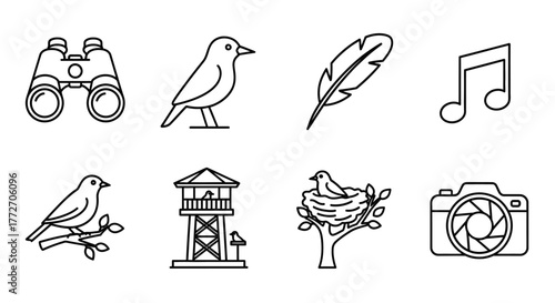 A set of line icons representing birdwatching and nature observation activities in a minimalist.