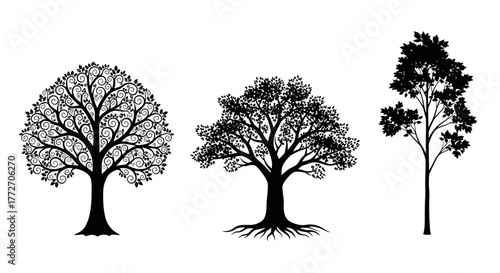 Three trees are presented in a simple black and white style, each with a unique shape and branching.