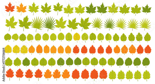 Colorful autumn foliage set in rows showcases different leaf shapes and seasonal colors.