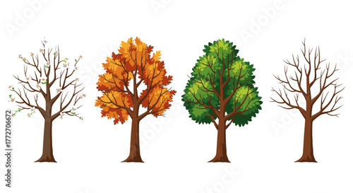 Four trees represent the seasons of the year, showing spring, summer, autumn, and winter.