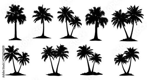 Silhouettes of various palm trees are arranged in a row, creating a tropical or vacation vibe.