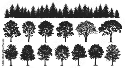 Silhouetted collection of various deciduous trees and evergreen trees create a woodland scene.