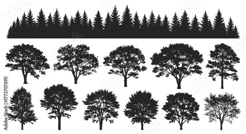 A collection of deciduous and coniferous trees are depicted in silhouette against a white backdrop.