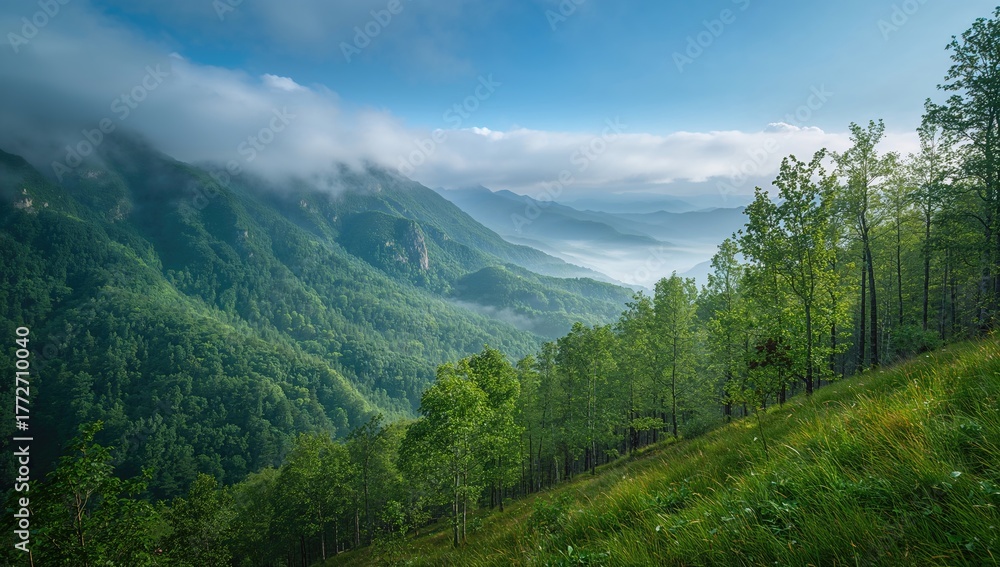 Fototapeta premium Forested mountains enveloped in low-hanging dramatic clouds, surrounded by a lush green grass slope and trees, seasonal change