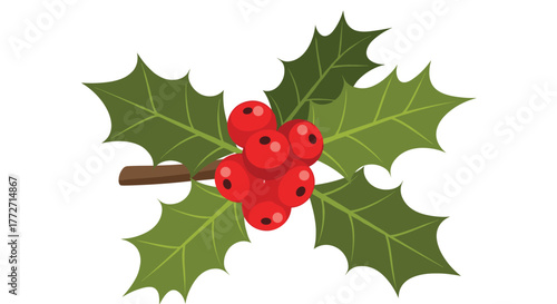 A vibrant sprig of classic Christmas holly with bright red berries and spiky green leaves, ideal for festive designs.