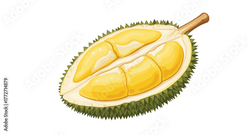 Close-up of a halved durian fruit, revealing its creamy yellow arils nestled within the spiky green shell, highlighting its unique appearance.