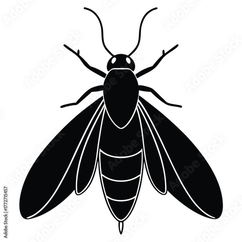 vector illustration of a fly