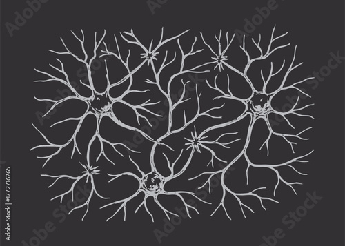 Illustration of interconnected neurons on a