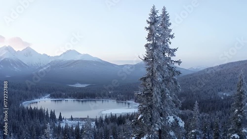 Snowy Mountain Range Overlooking Frozen Lake and Winter Forest
