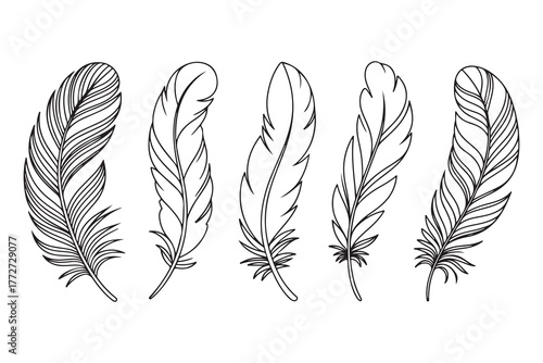 Continuous one line drawing of feather set outline illustration
